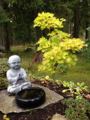 Yoga-time in the garden of inspiration.