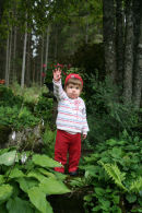 Ett trädgårdstroll.