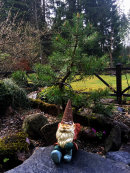 Take a break in the sun ?? ??