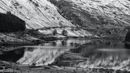 1st Cumbria in January 1