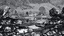1st Cumbria in January 2