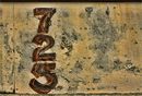 1st Decay by numbers 4