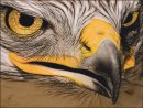 3rd#RexMakemson#Birds of Prey1