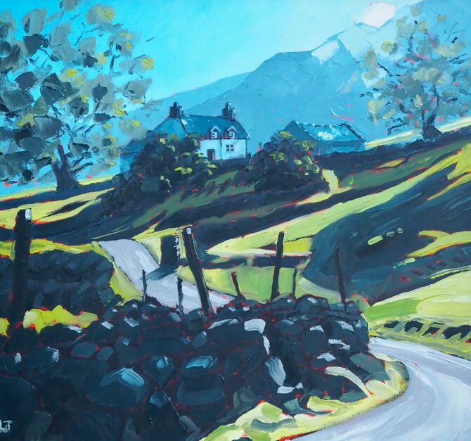 Cwm Nantcol, Rhinogs