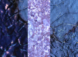 transformation: ser.1