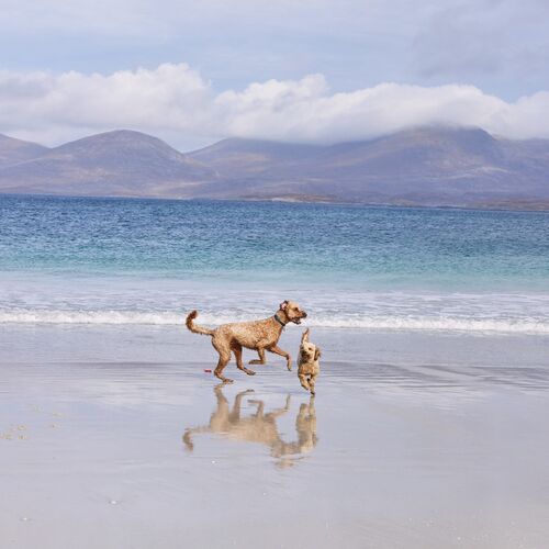 Luskentyre Sands