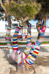 Decorated Trees in Sagres Portugal