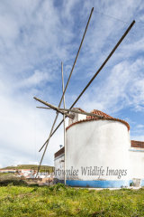 Windmill in Portugal