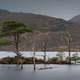 Loch Assynt