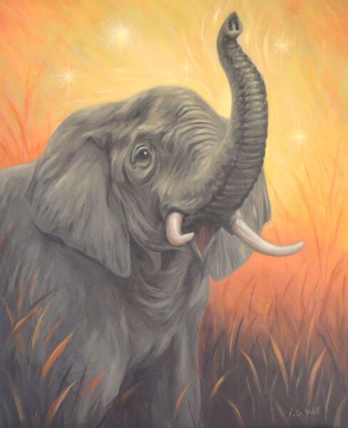 Magical Elephant, a paininting of an elephant against an orange background, by Iain Will York Artist.
