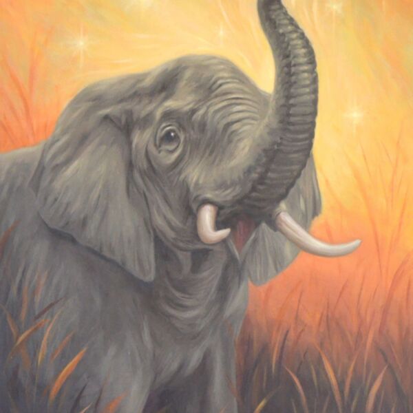Magical Elephant Magical Elephant, a paininting of an elephant against an orange background, by Iain Will York Artist.