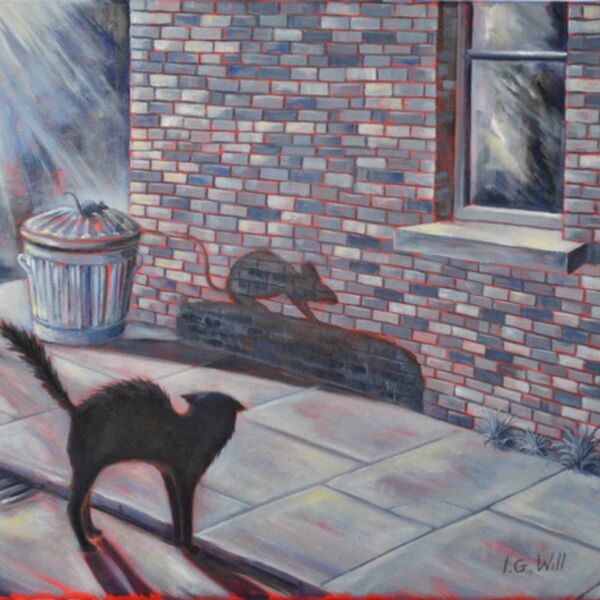 Scaredy Cat, afraid of the shadow of a mouse on a dustbin, by Iain Will Artist.