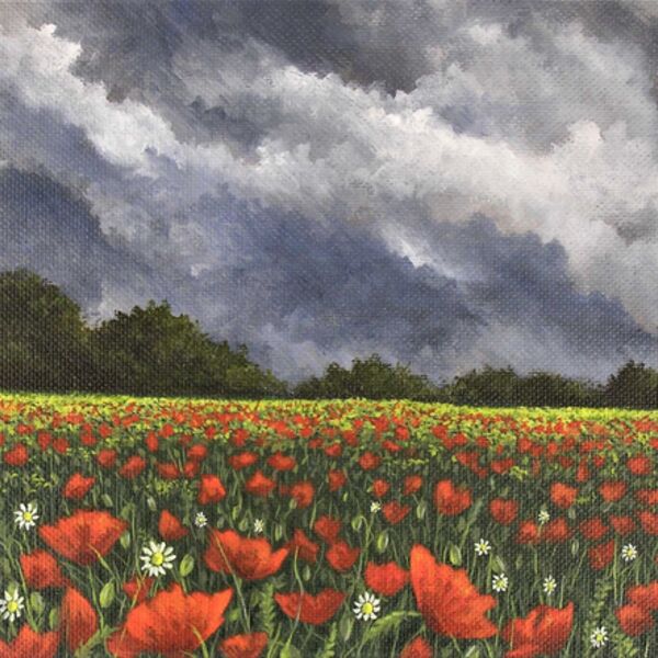 Stormy Poppies, a poppy field painting by Iain Will York Artist.