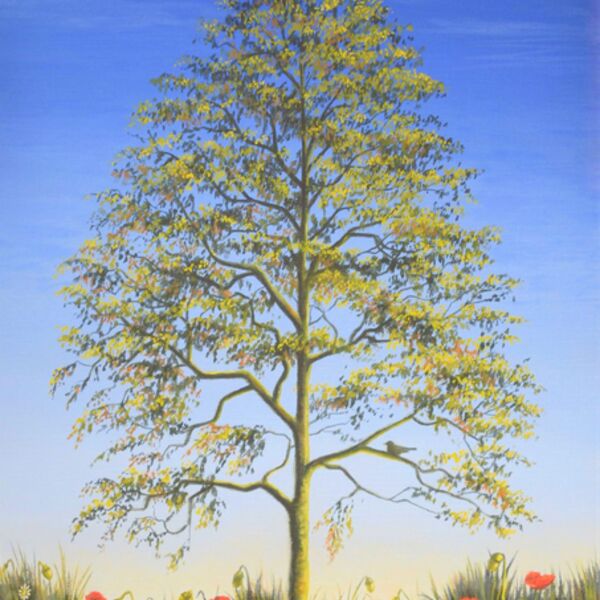 Summer Tree, a tree set against a blue sky, a painting by Iain Will Artist.