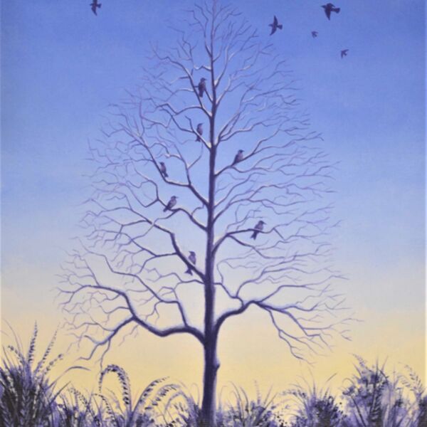 Winter Tree, a tree set against sunset sky, with starlings. By Iain Will Artist.