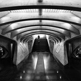 Liège-Guillemins Railway Station #2