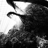 Cloud Forest Greenhouse, Singapore