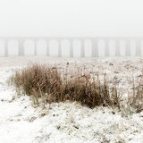 Ribblehead Viaduct #6