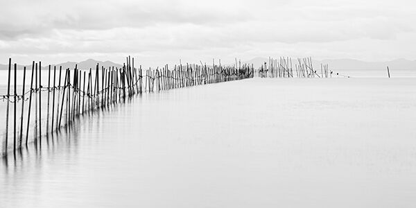 Lake Biwa, Fishing Nets #3