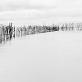 Lake Biwa, Fishing Nets #3