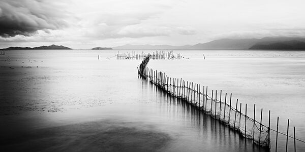 Lake Biwa, Fishing Nets #4