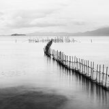 Lake Biwa, Fishing Nets #4