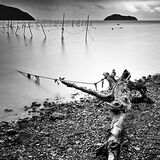 Lake Biwa, Fishing Nets #1