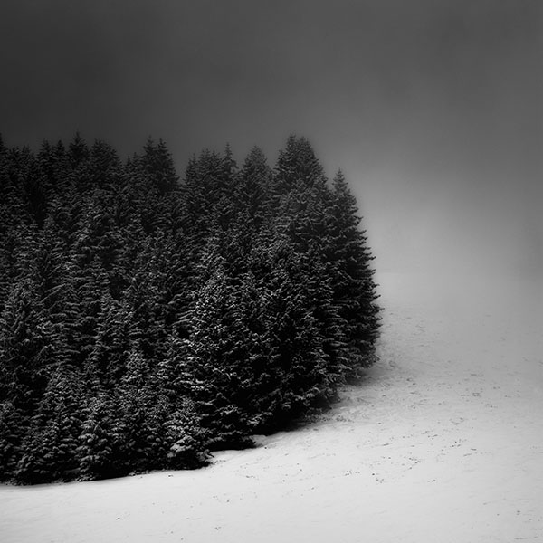 Winter Mist