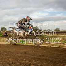 121122-GaleCommonMX-80