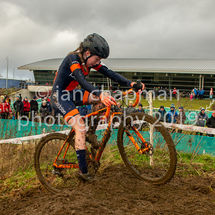 141219CXYork-209
