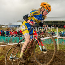 141219CXYork-215