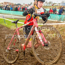 141219CXYork-218