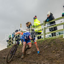 141219CXYork-240