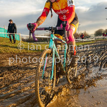 151219CXYork-88