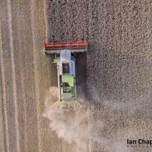 Combine Harvester