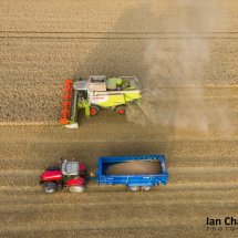 Harvest time