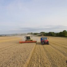 Harvesting