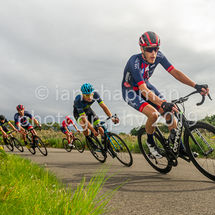 PetuariaRC-Crit1-34