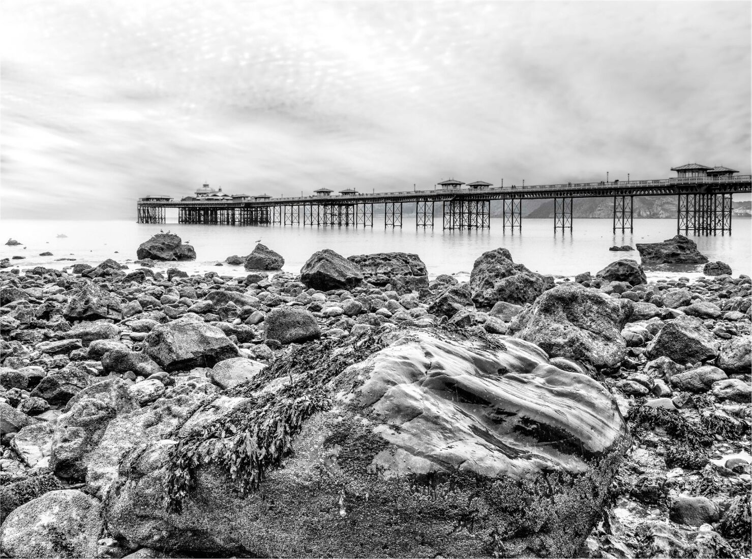 Between a Rock and a Soft Space