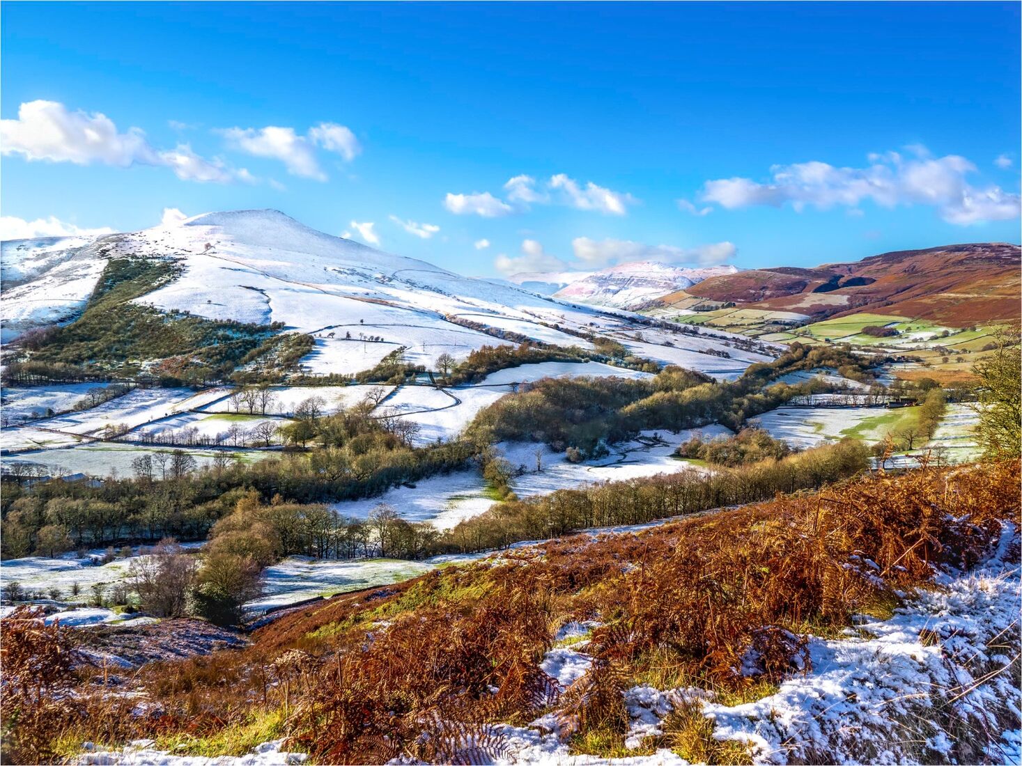 Slowly Thawing in the Sunshine