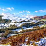 Slowly Thawing in the Sunshine