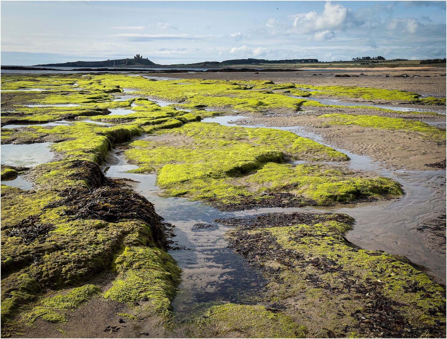 Low Newton, Low Tide