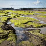 Low Newton, Low Tide