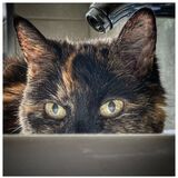 Kairi Waiting for the Tap