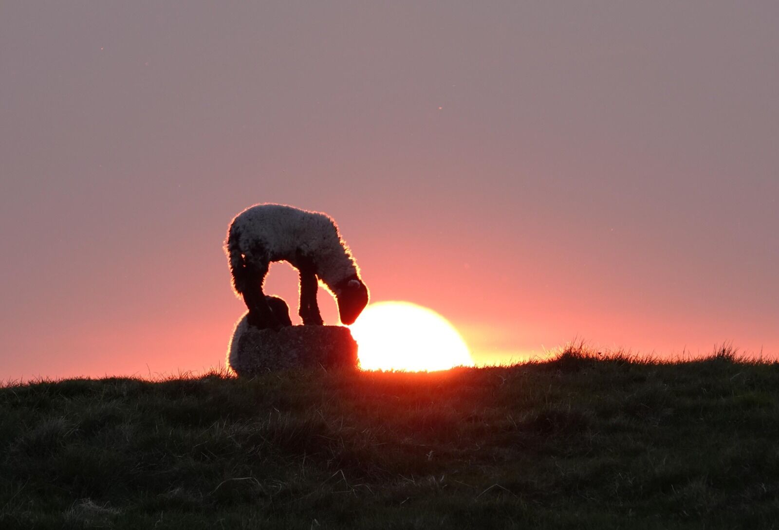 Nudging the Sun