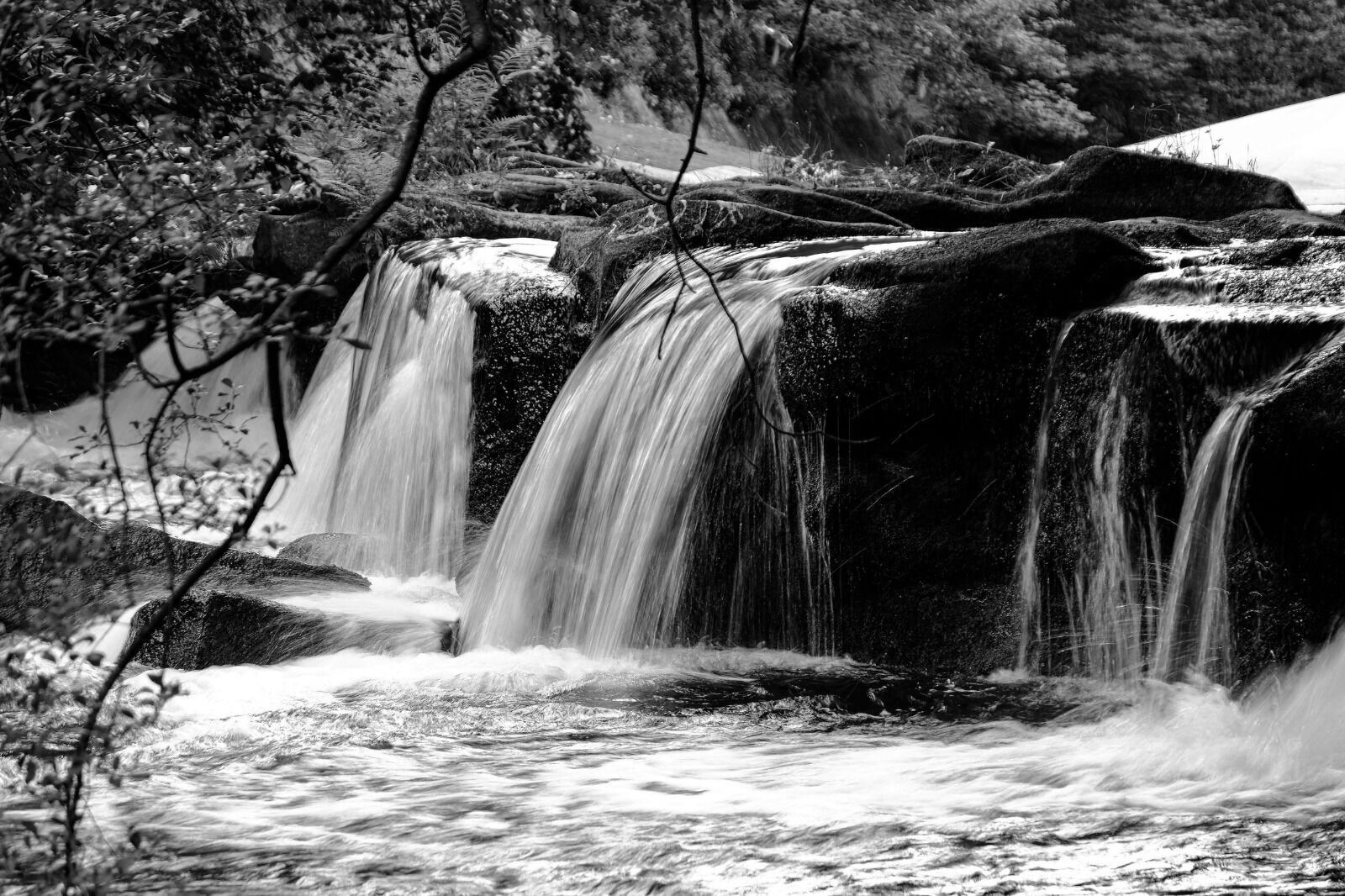Still Some Water