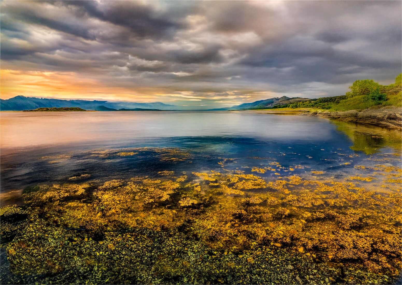 Polarising Sunken Sealoch Seaweed
