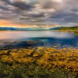Polarising Sunken Sealoch Seaweed