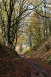 AUTUMN LANE