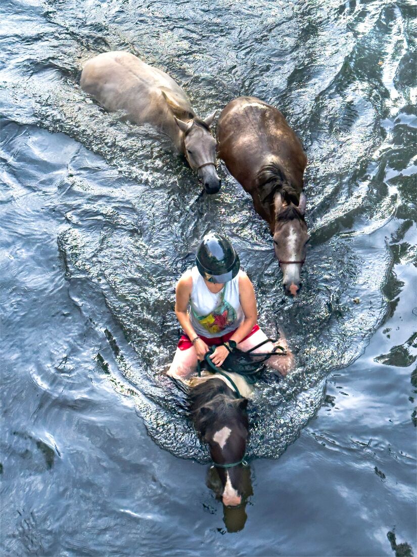 Changing Horses in Midswim